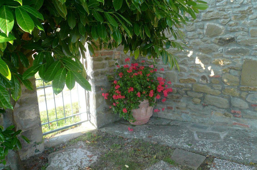 Il Gelso Apartment Cortona Bagian luar foto