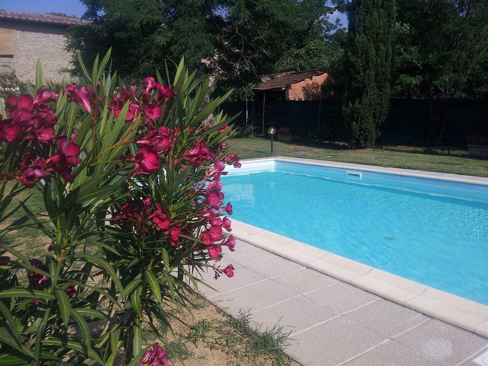 Il Gelso Apartment Cortona Bagian luar foto