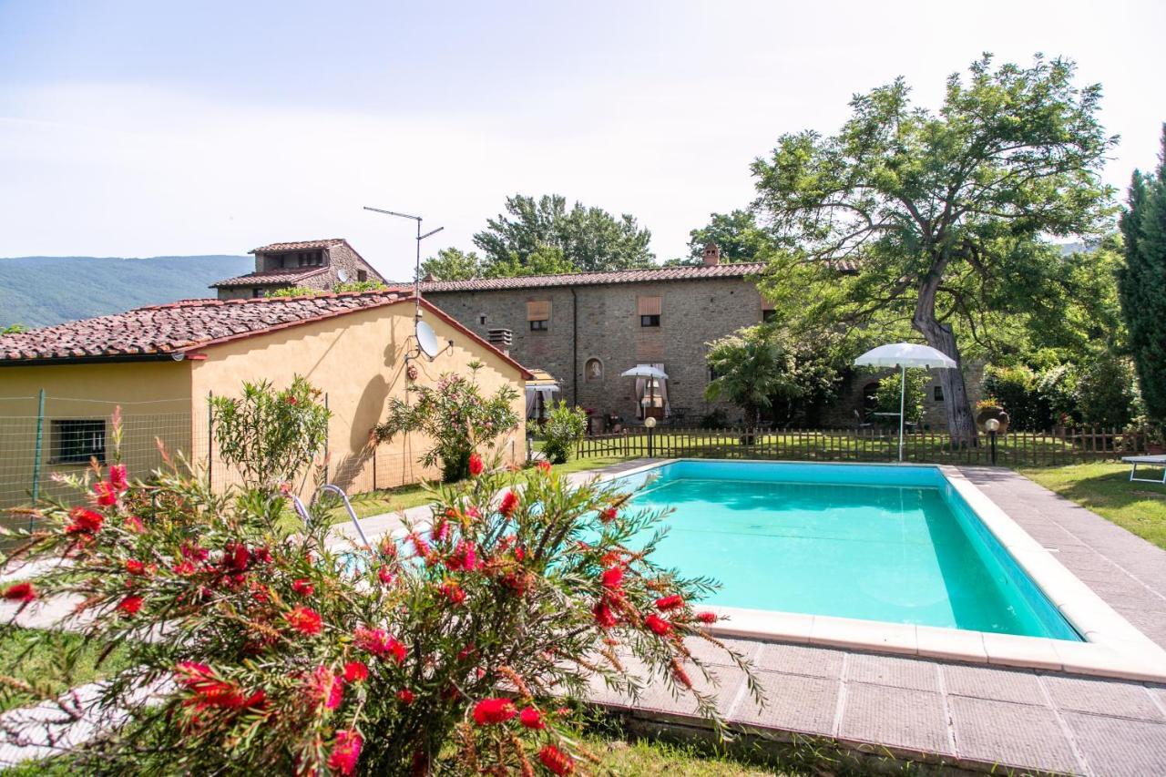 Il Gelso Apartment Cortona Bagian luar foto